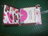 Mini-Álbum Sanfonado